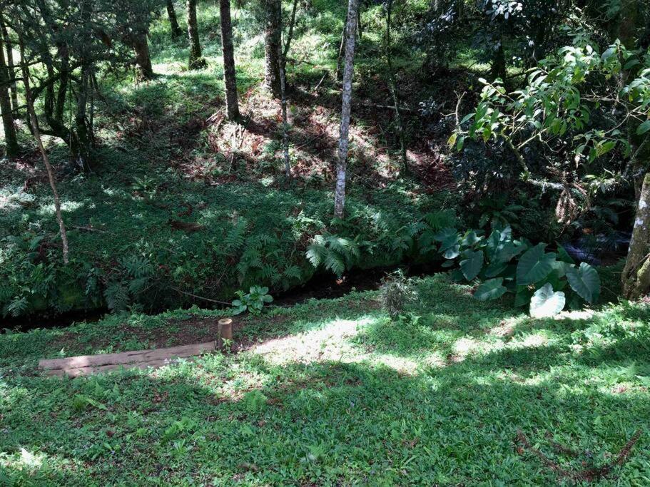 Casa Cipreste No Refugio Pinheiro Beira Rio Holiday home *
