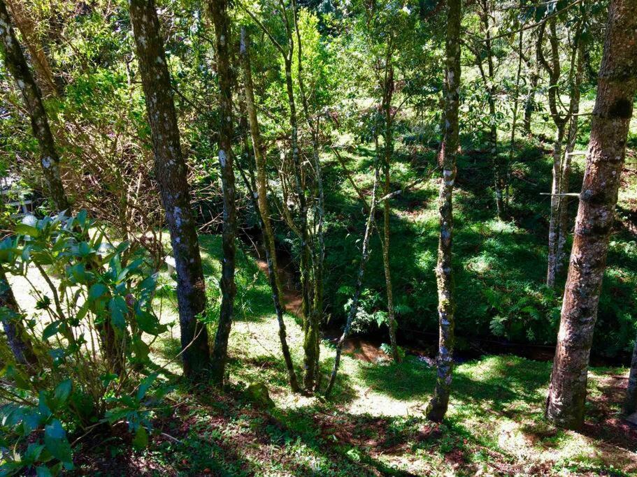 Casa Cipreste No Refugio Pinheiro Beira Rio * Sapucai-Mirim