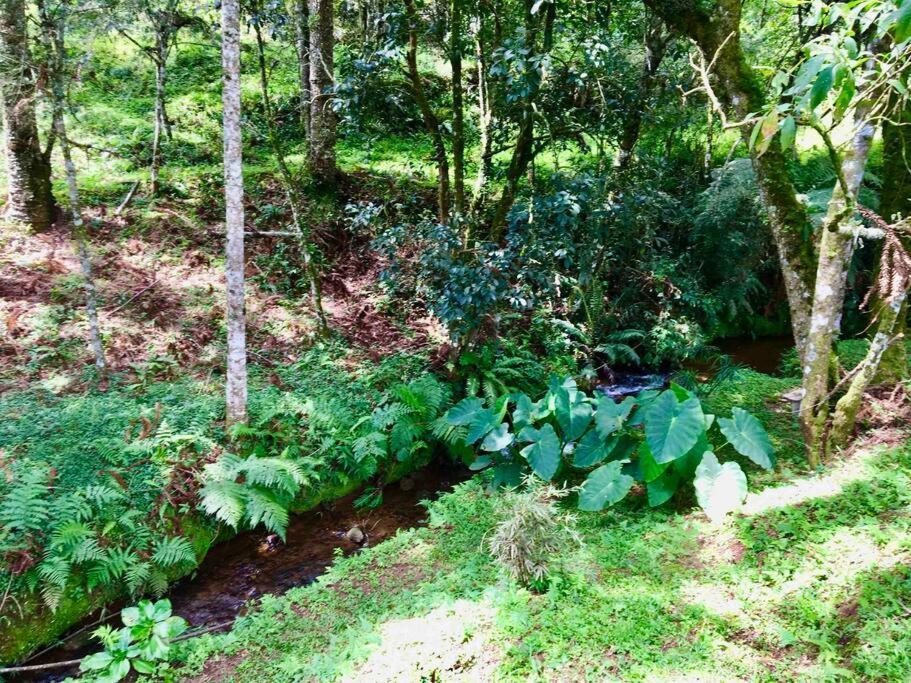 Holiday home Casa Cipreste No Refugio Pinheiro Beira Rio Sapucai-Mirim