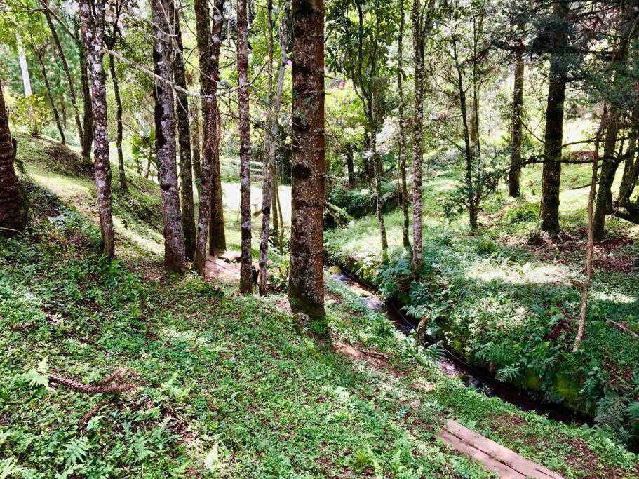 Casa Cipreste No Refugio Pinheiro Beira Rio Holiday home Sapucai-Mirim